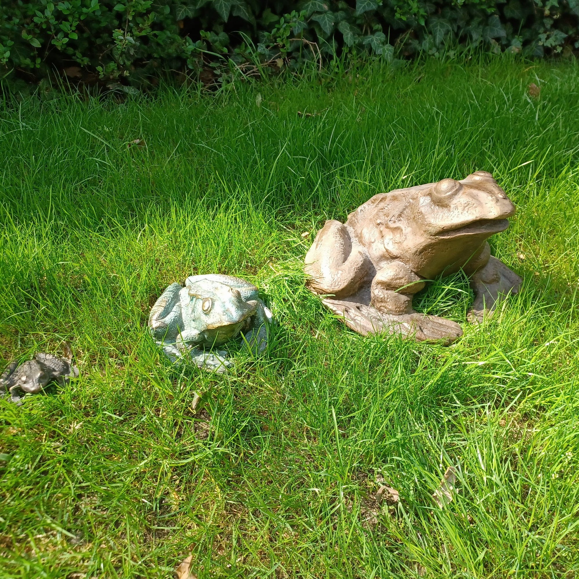 Frog