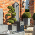 French Fountain