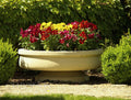 Flora flower bowl