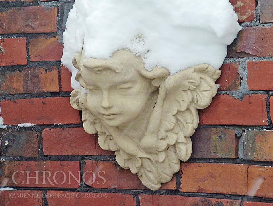 Cherub