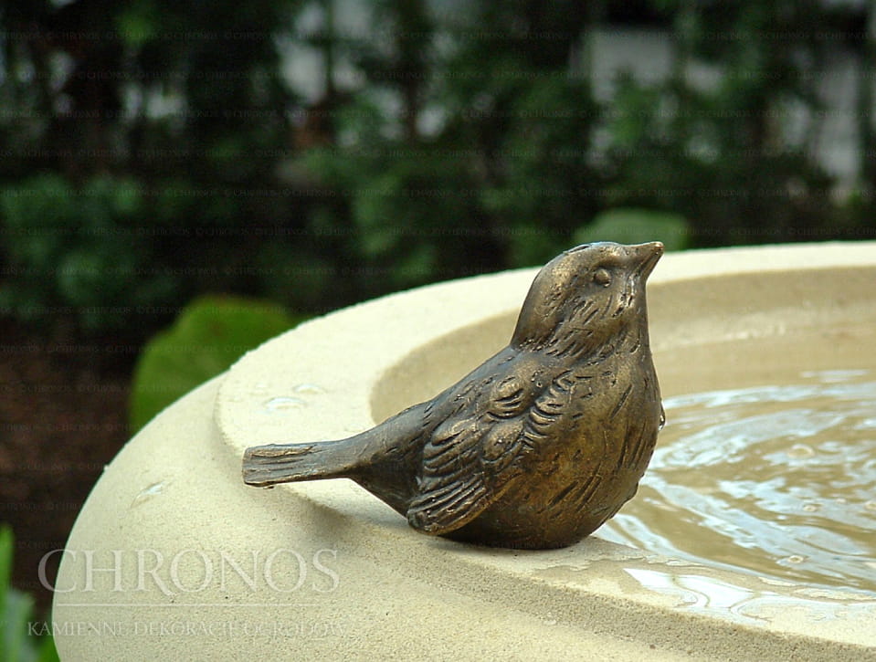 Birdie