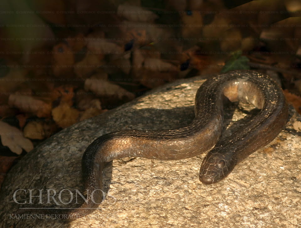 Natrix