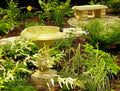 Bird bath