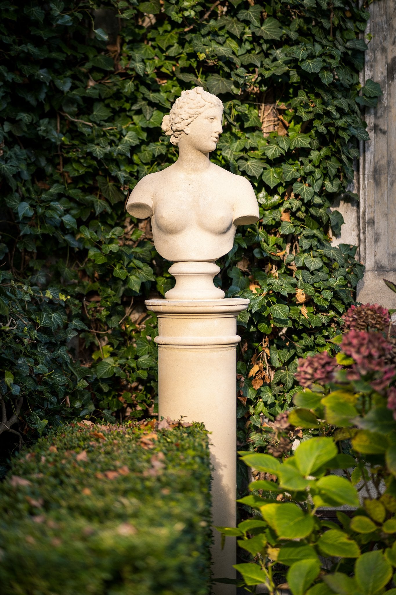 Aphrodite - bust