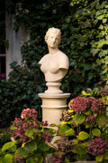 Aphrodite - bust