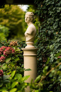 Aphrodite - bust