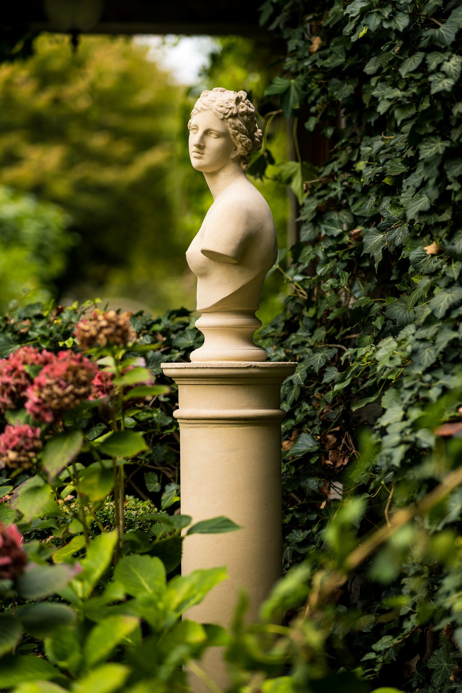 Aphrodite - bust