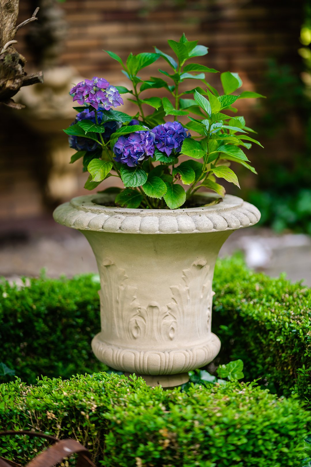 Agricola Vase