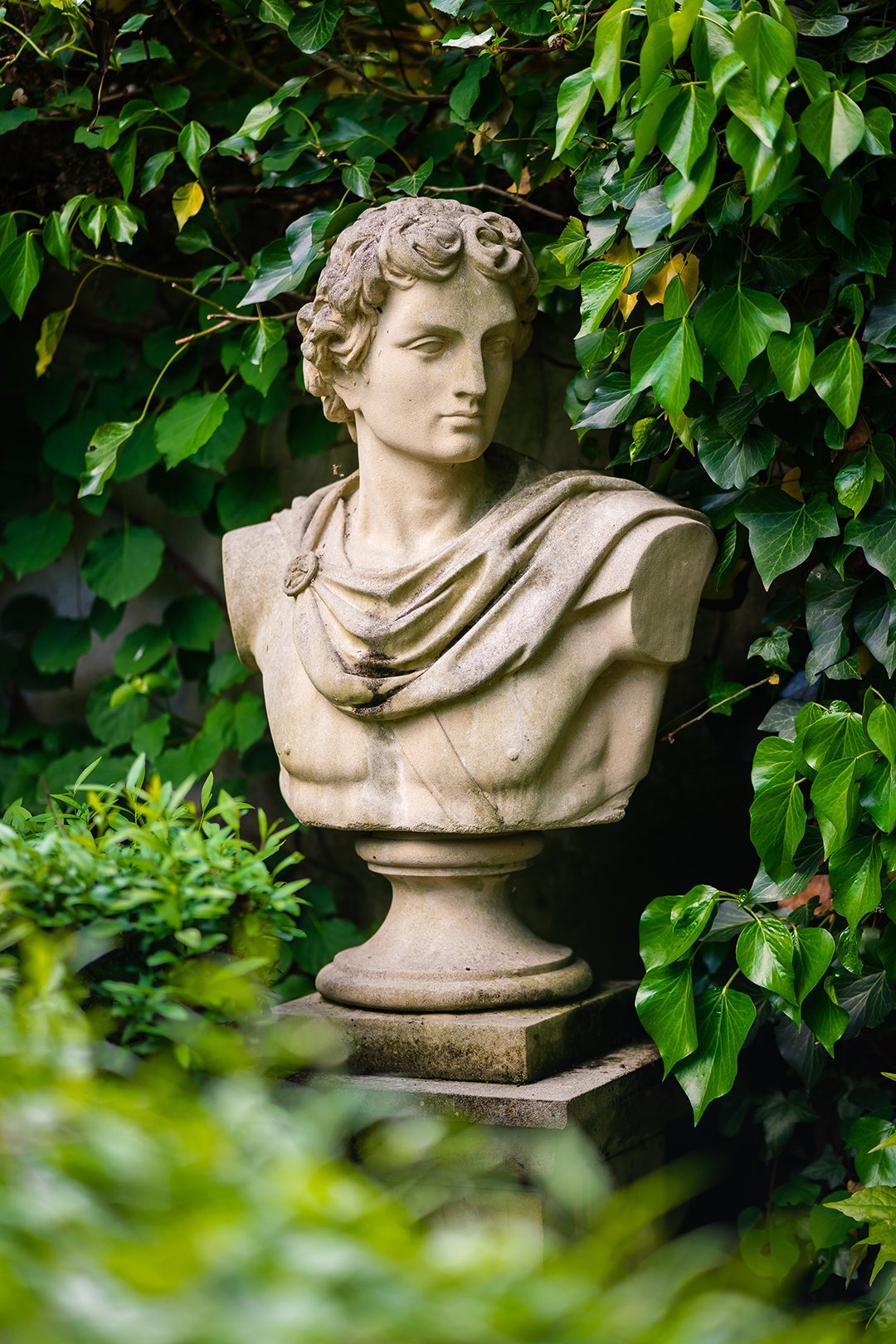 Belvedere Apollo – bust