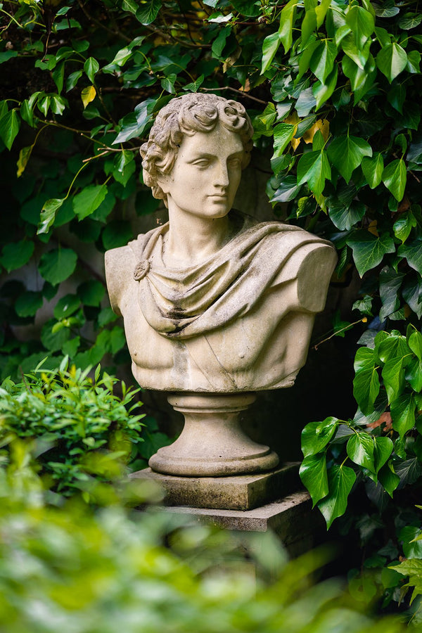 Belvedere Apollo – bust