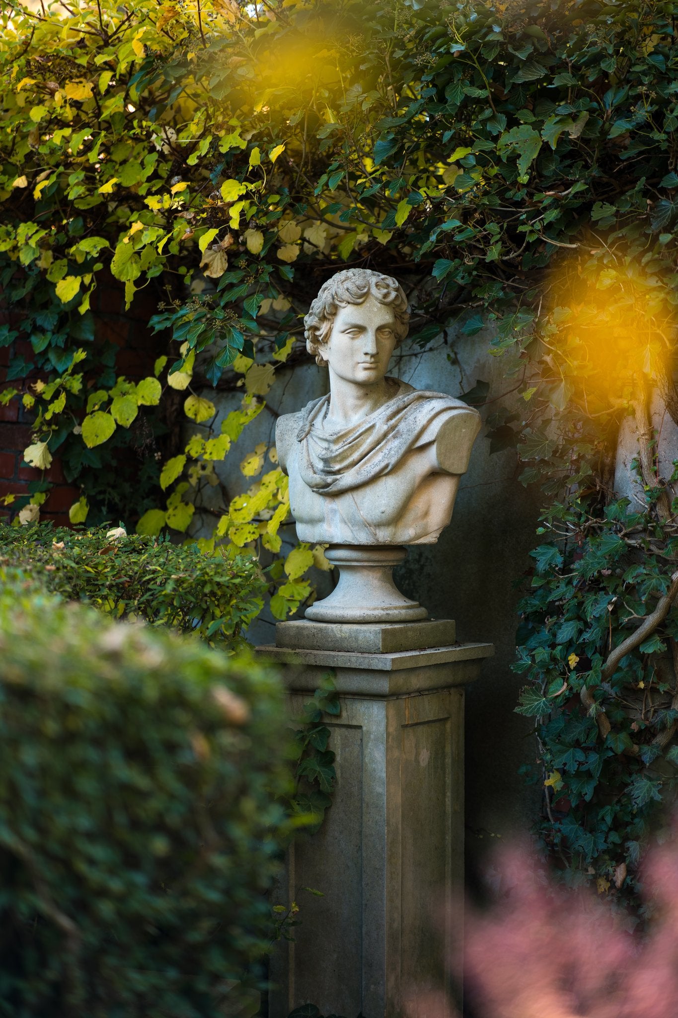 Belvedere Apollo – bust