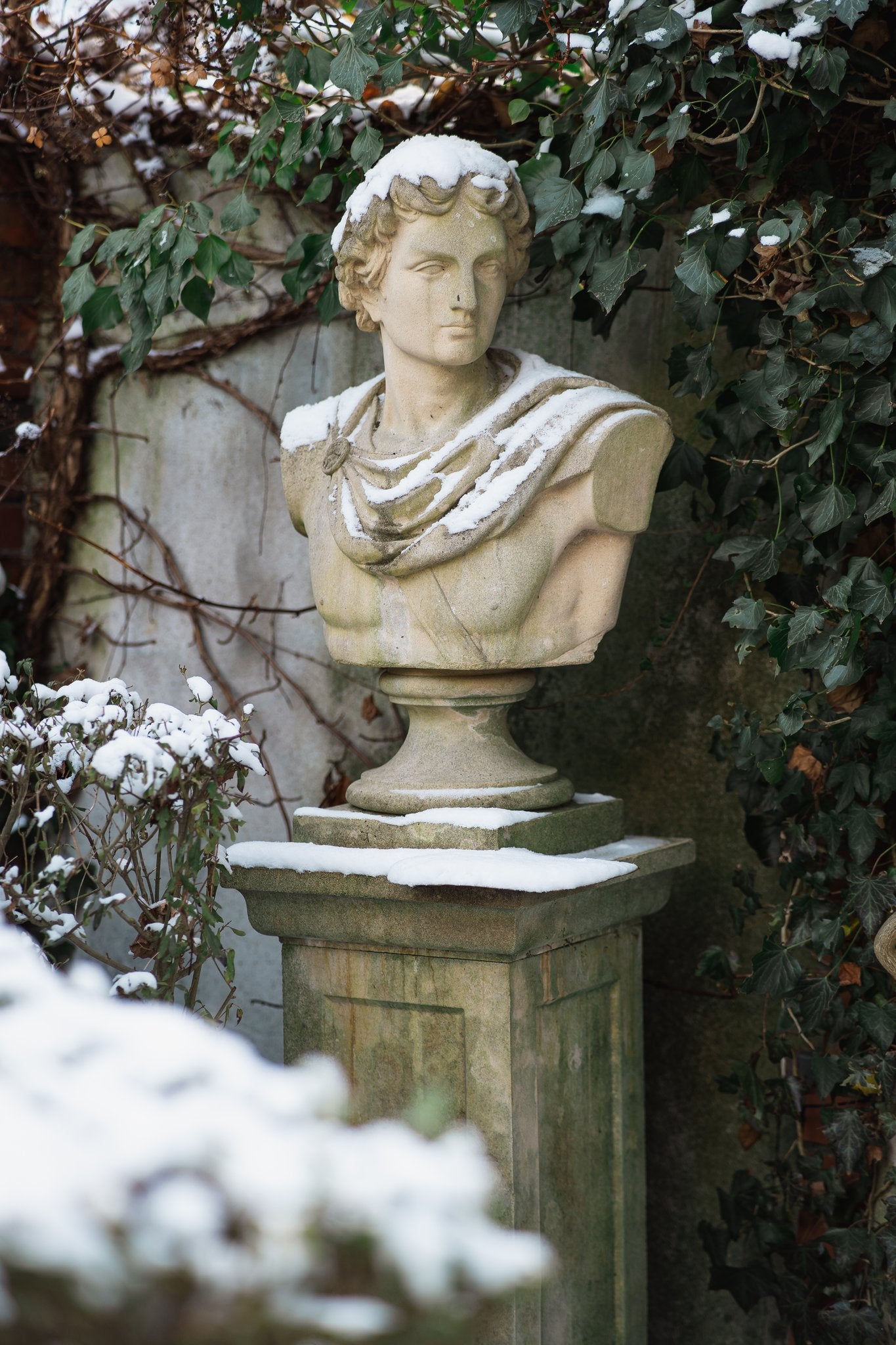 Belvedere Apollo – bust