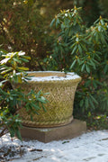 Cecylia Planter