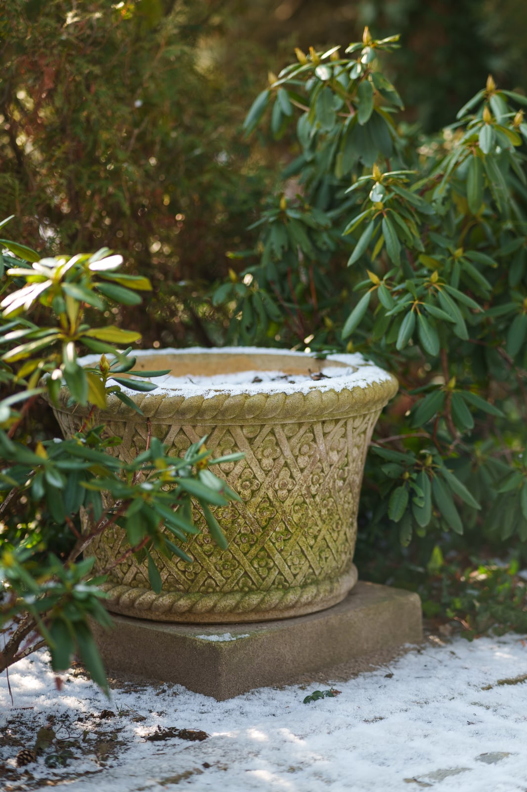 Cecylia Planter
