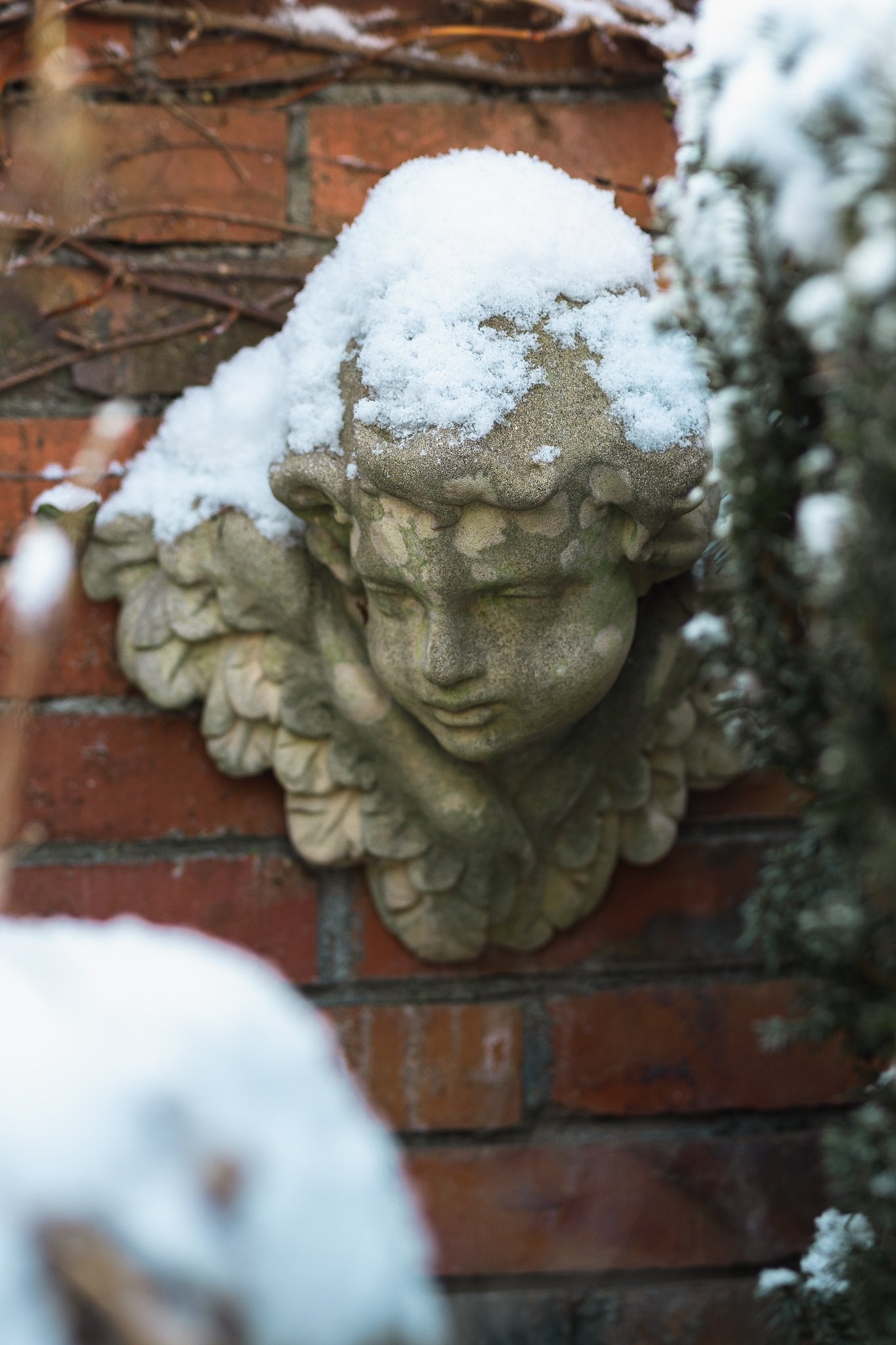 Cherub