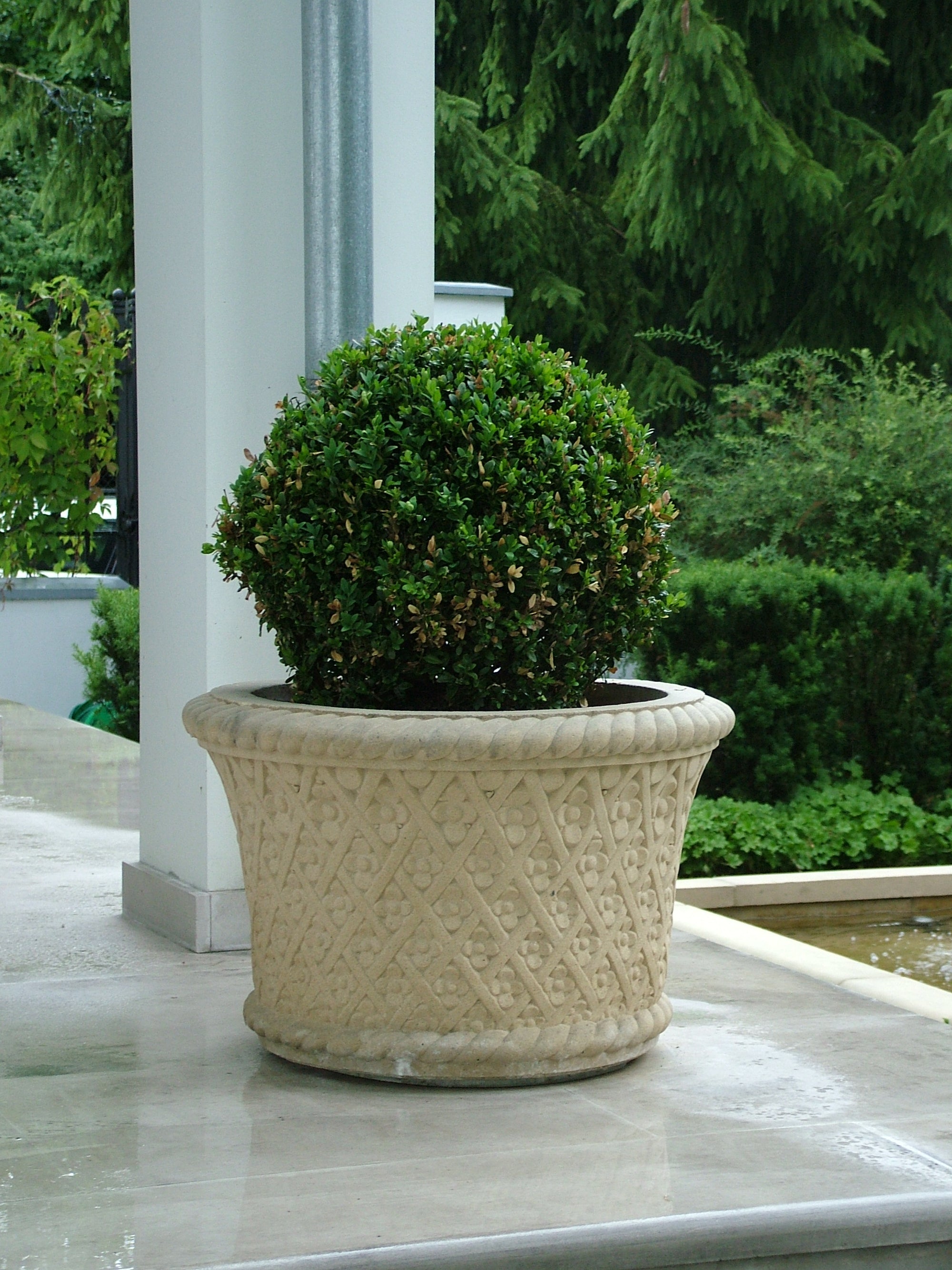 Cecylia Planter