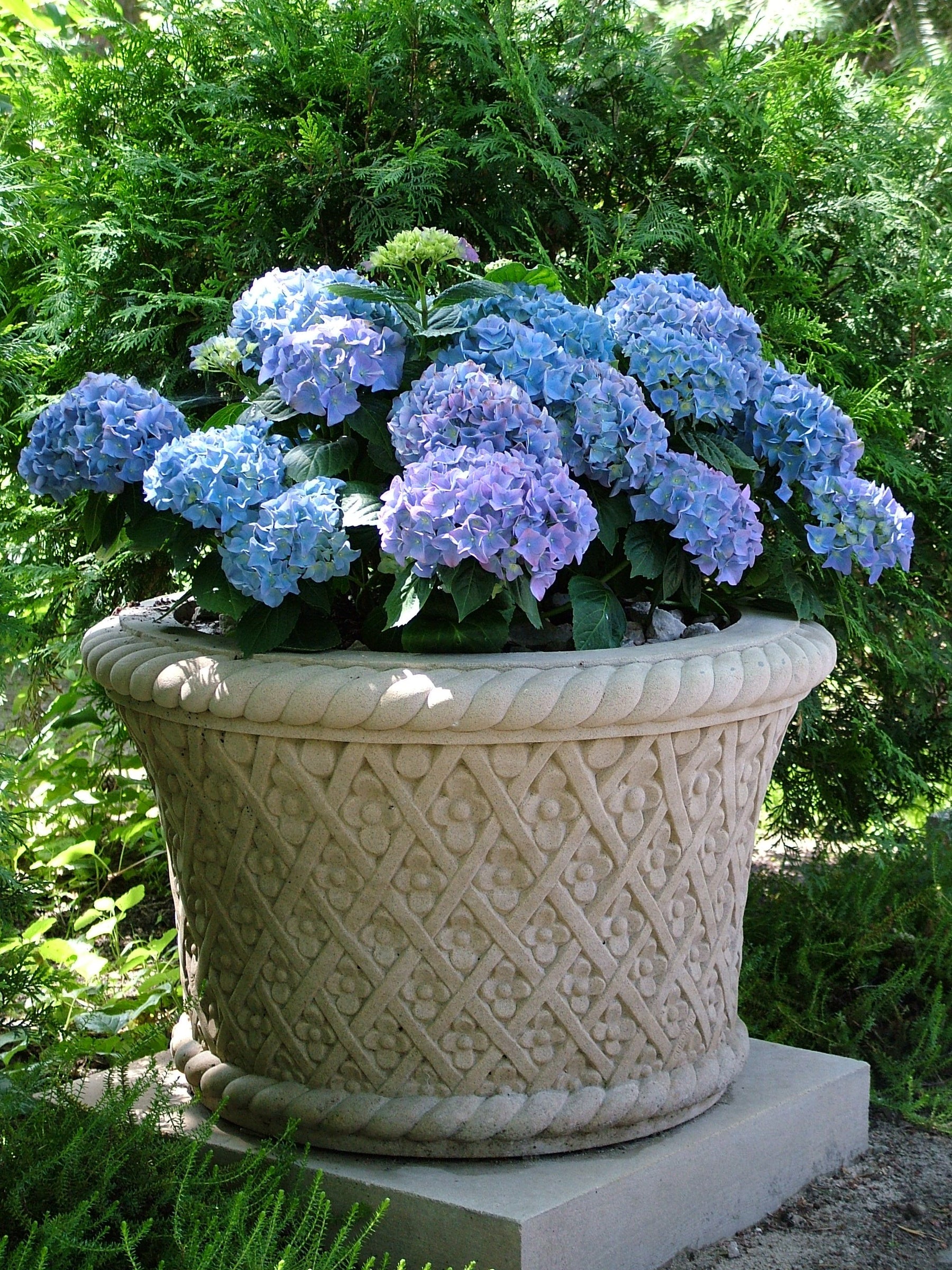 Cecylia Planter