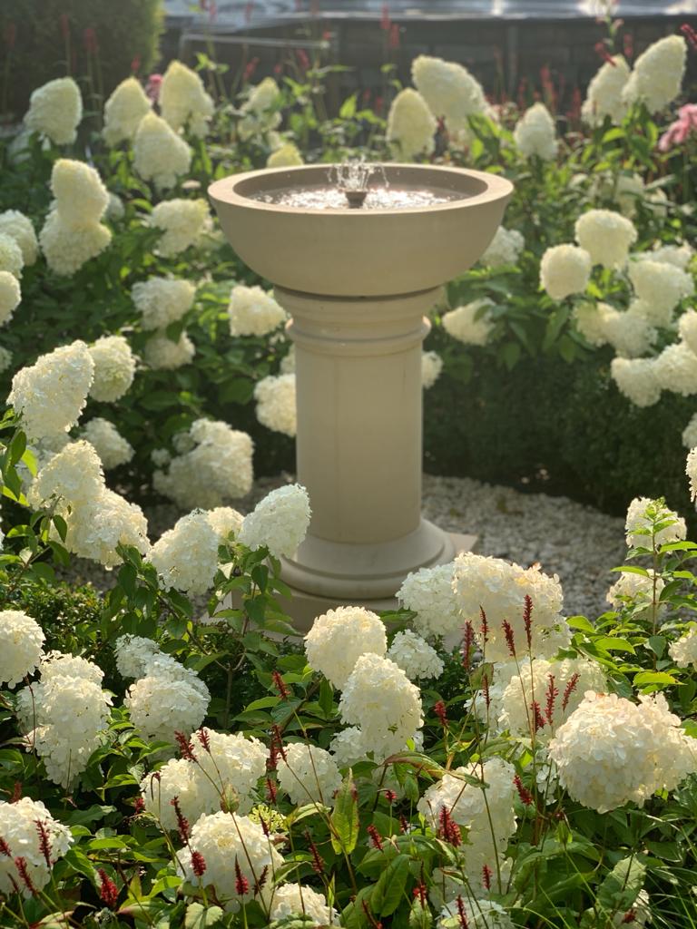 Planta Fountain
