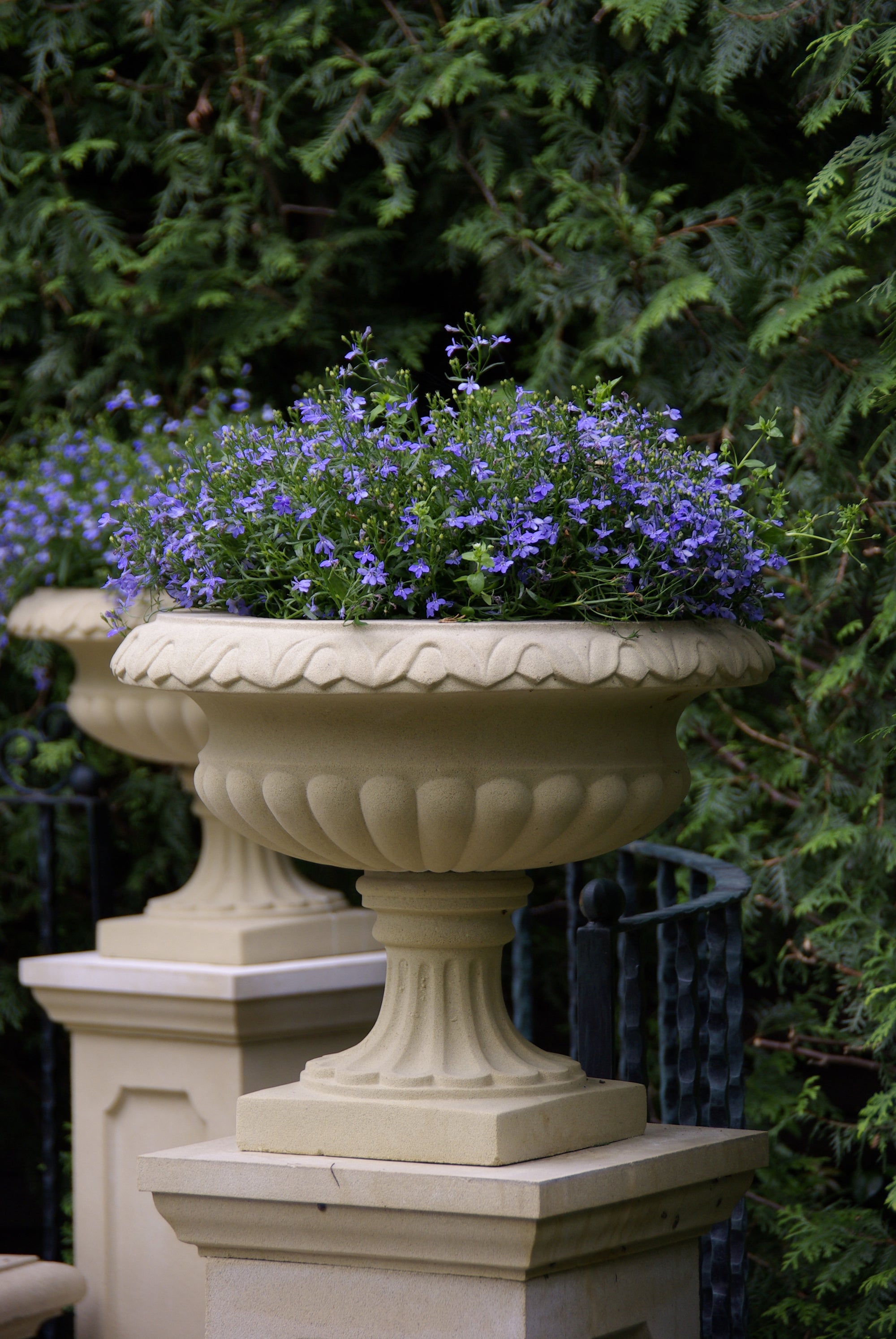 Regency Vase