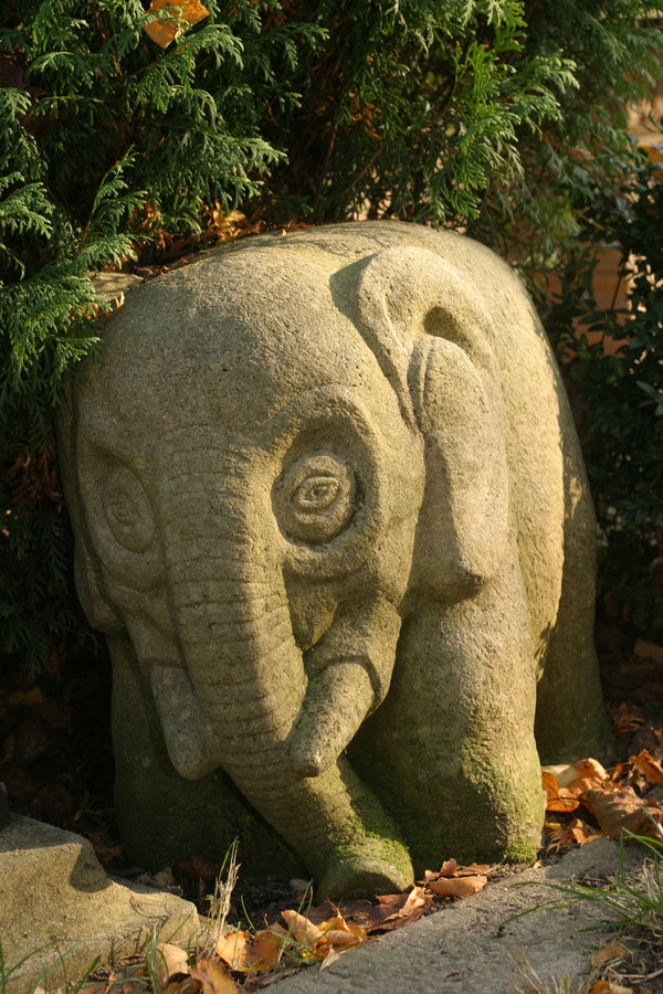 Słoń
