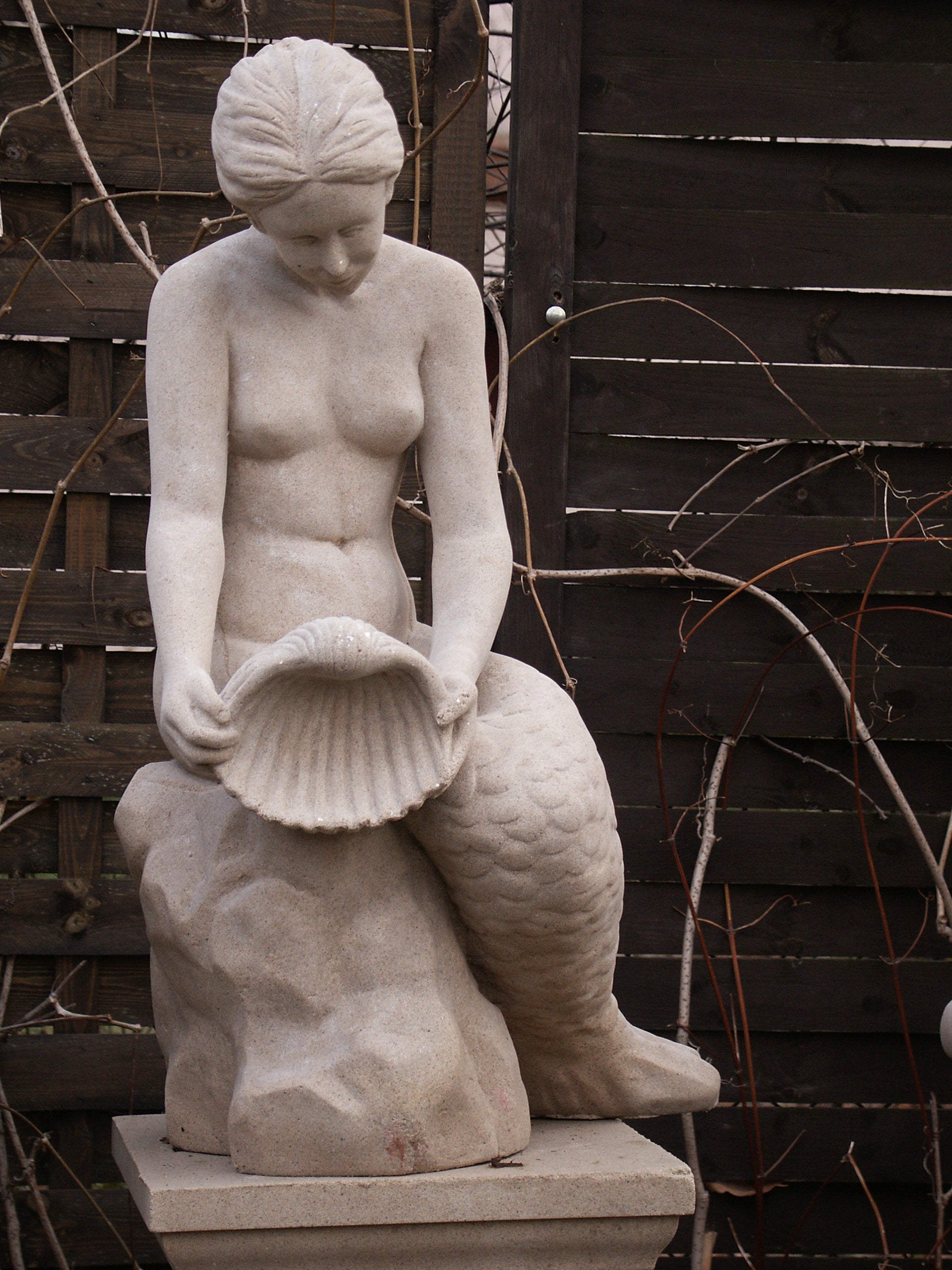 Mermaid with a shell