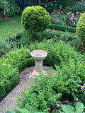 Planta Fountain