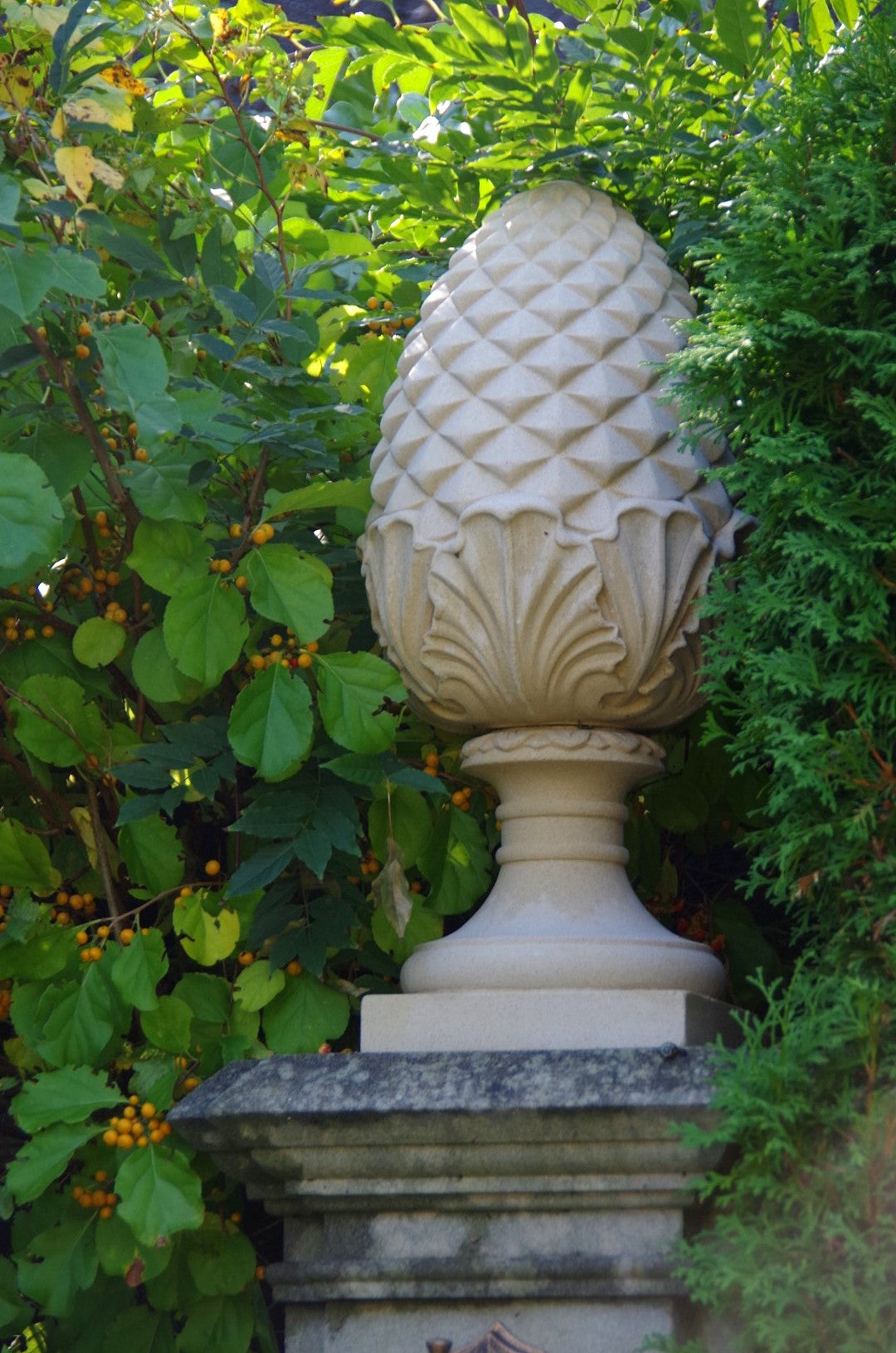 Pine cone