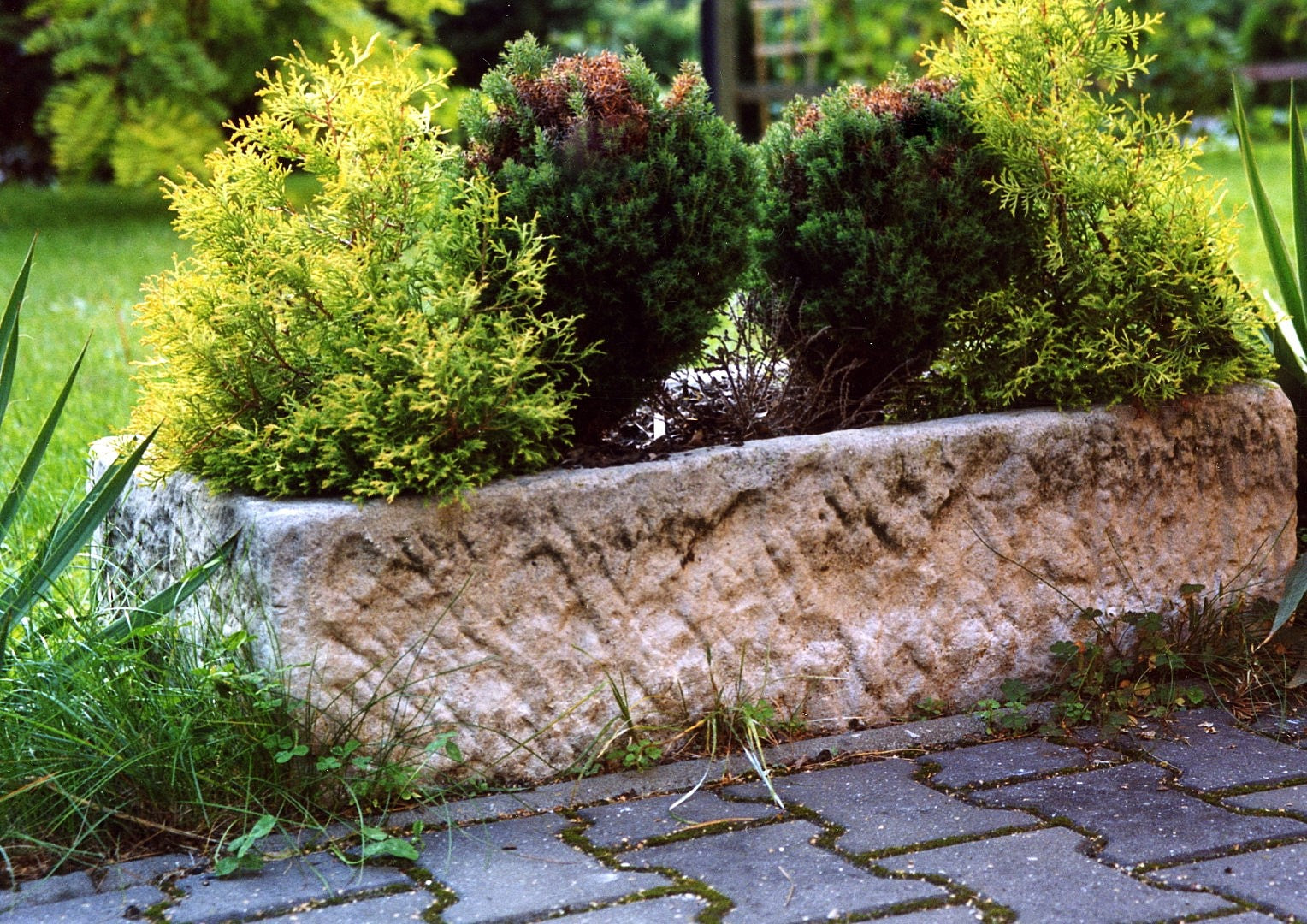 Trough Planter