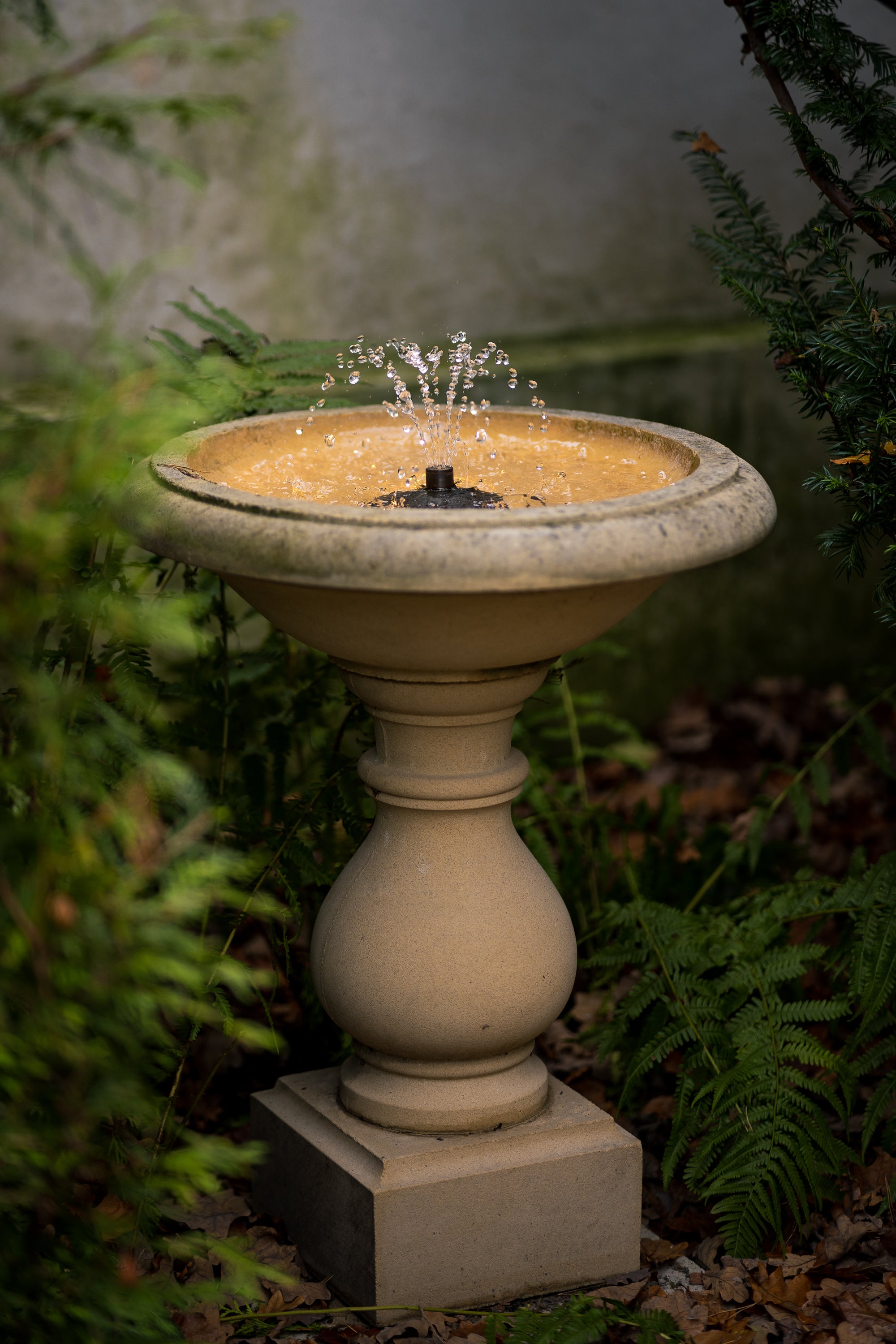 Bird fountain