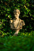 Diana – bust