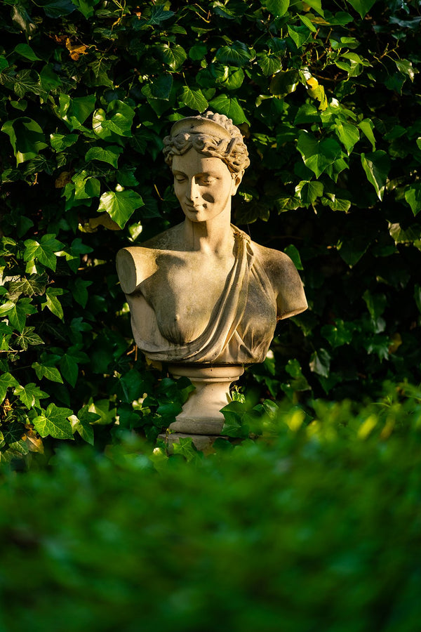 Diana – popiersie