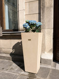 Donica Gardenia