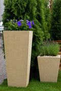 Donica Gardenia