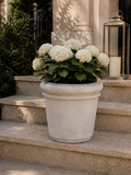 Conical Planter