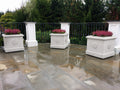 Planter with Rosette