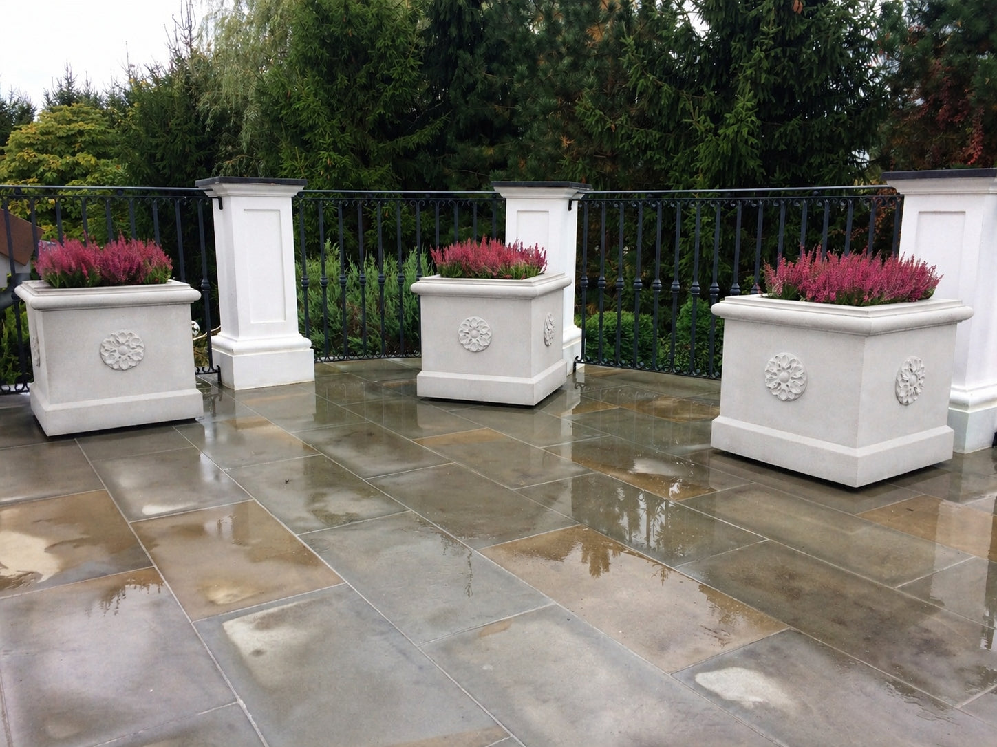 Planter with Rosette