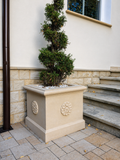 Planter with Rosette