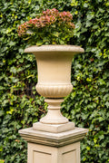 Classic Vase