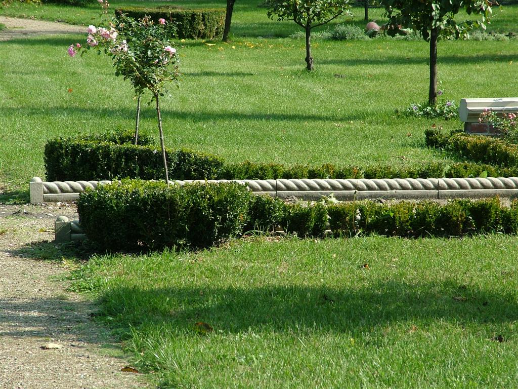 Krawęznik dekoracyjny - warkocz
