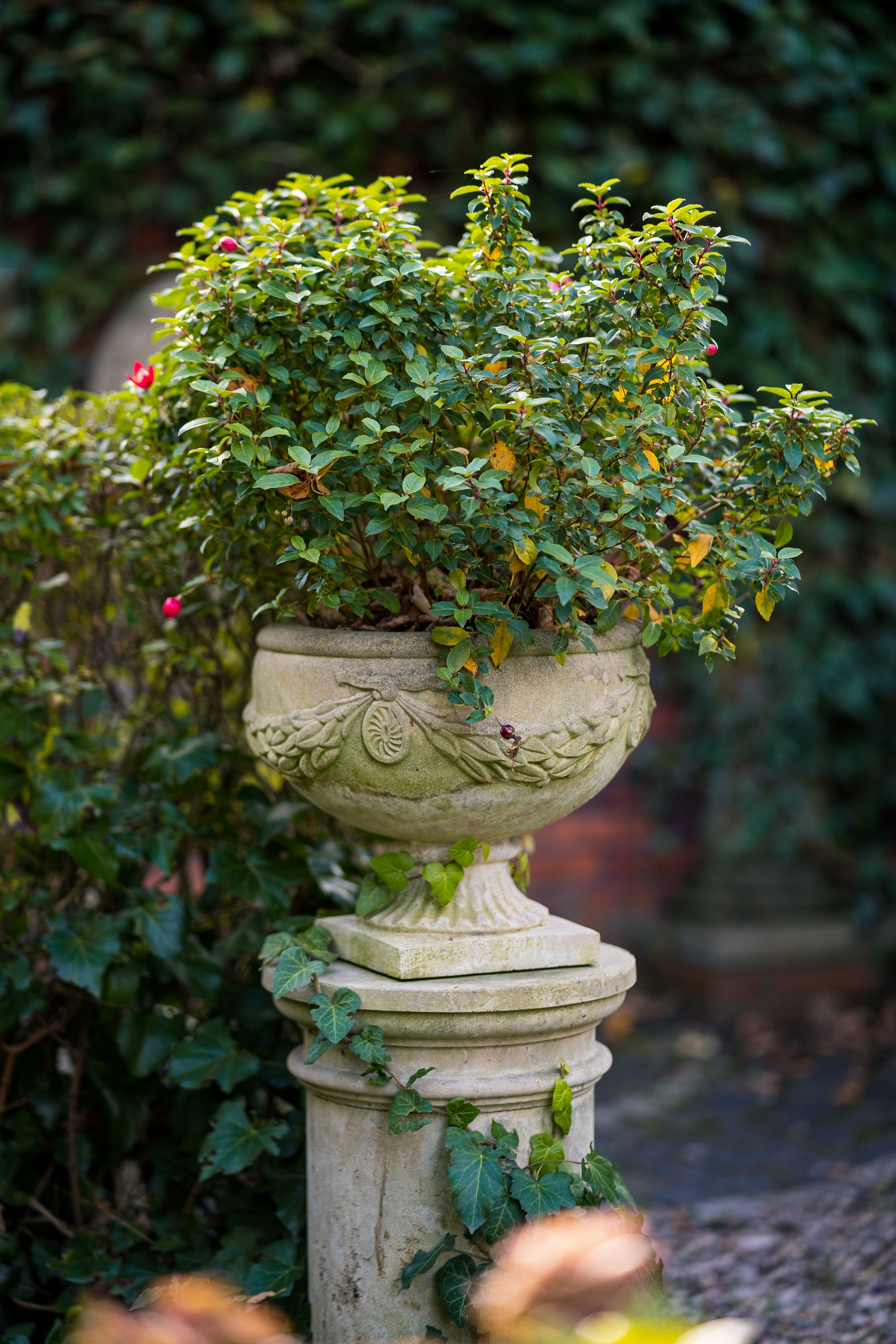 Laurel Vase