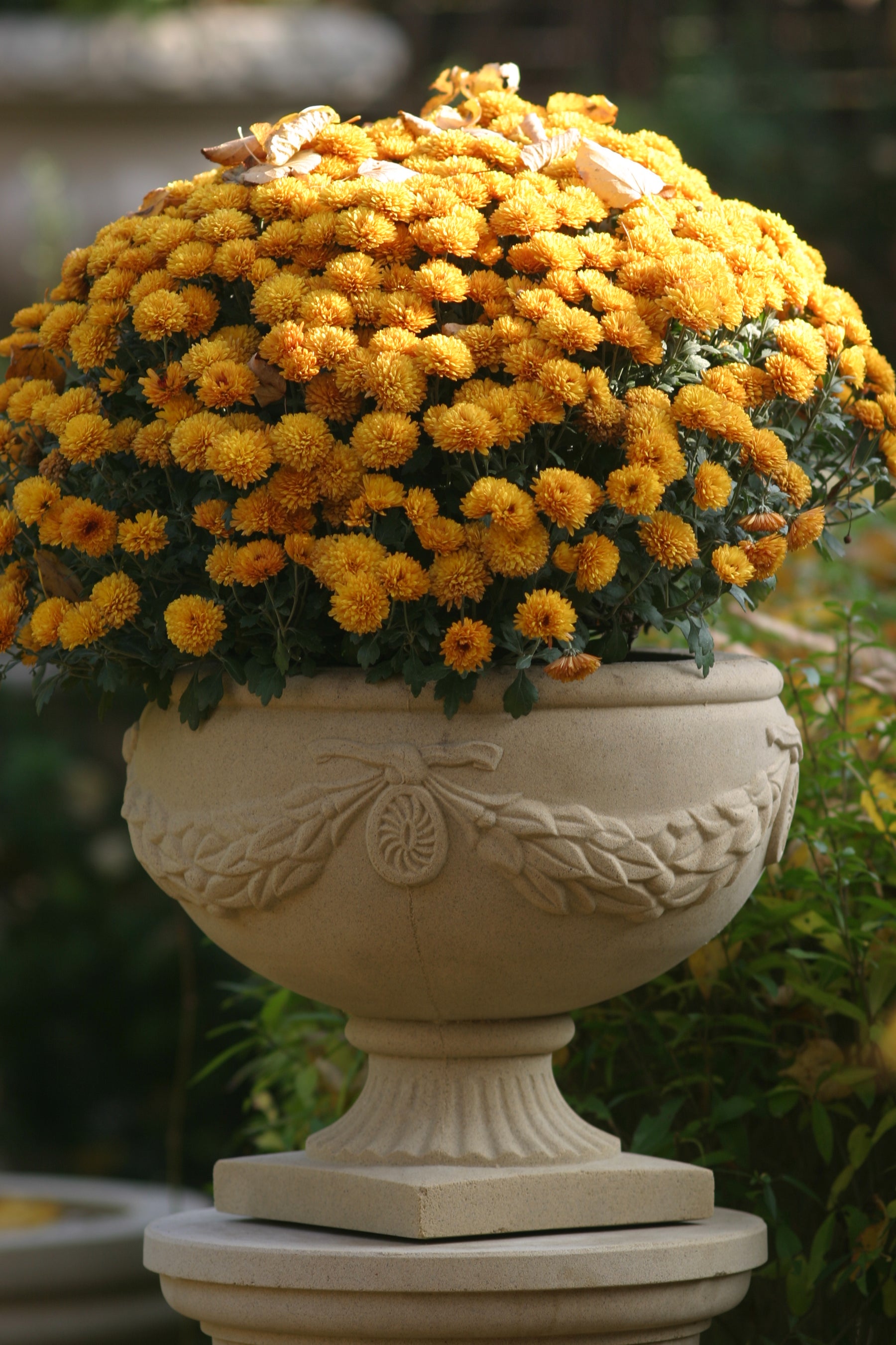 Laurel Vase