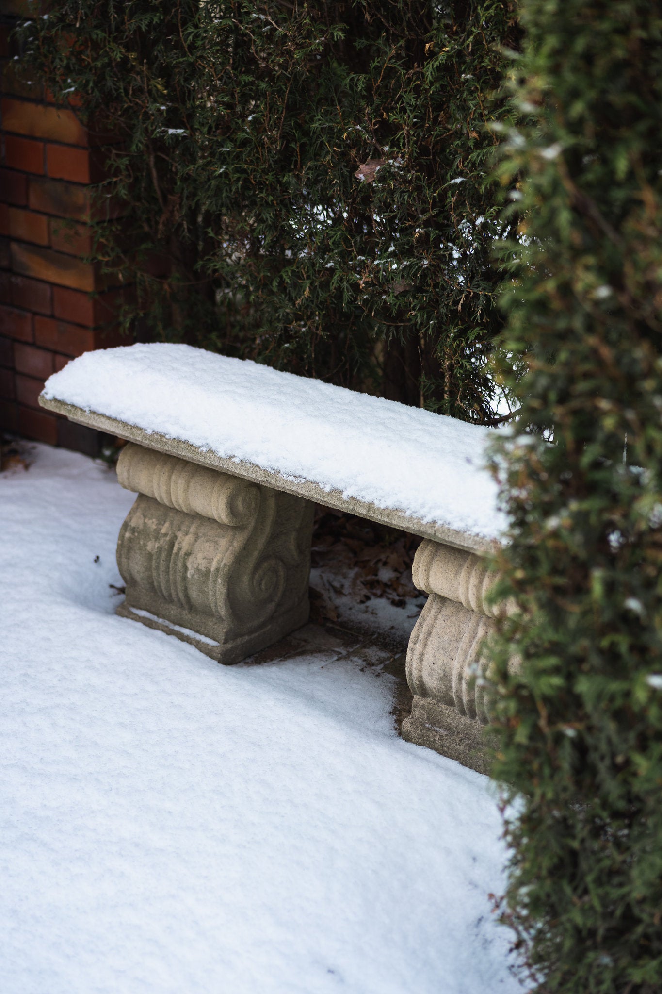 Secession Bench