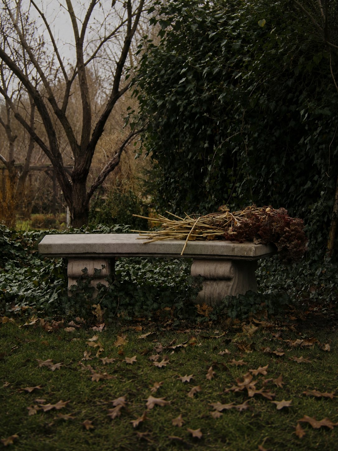 Art Nouveau Curved Bench