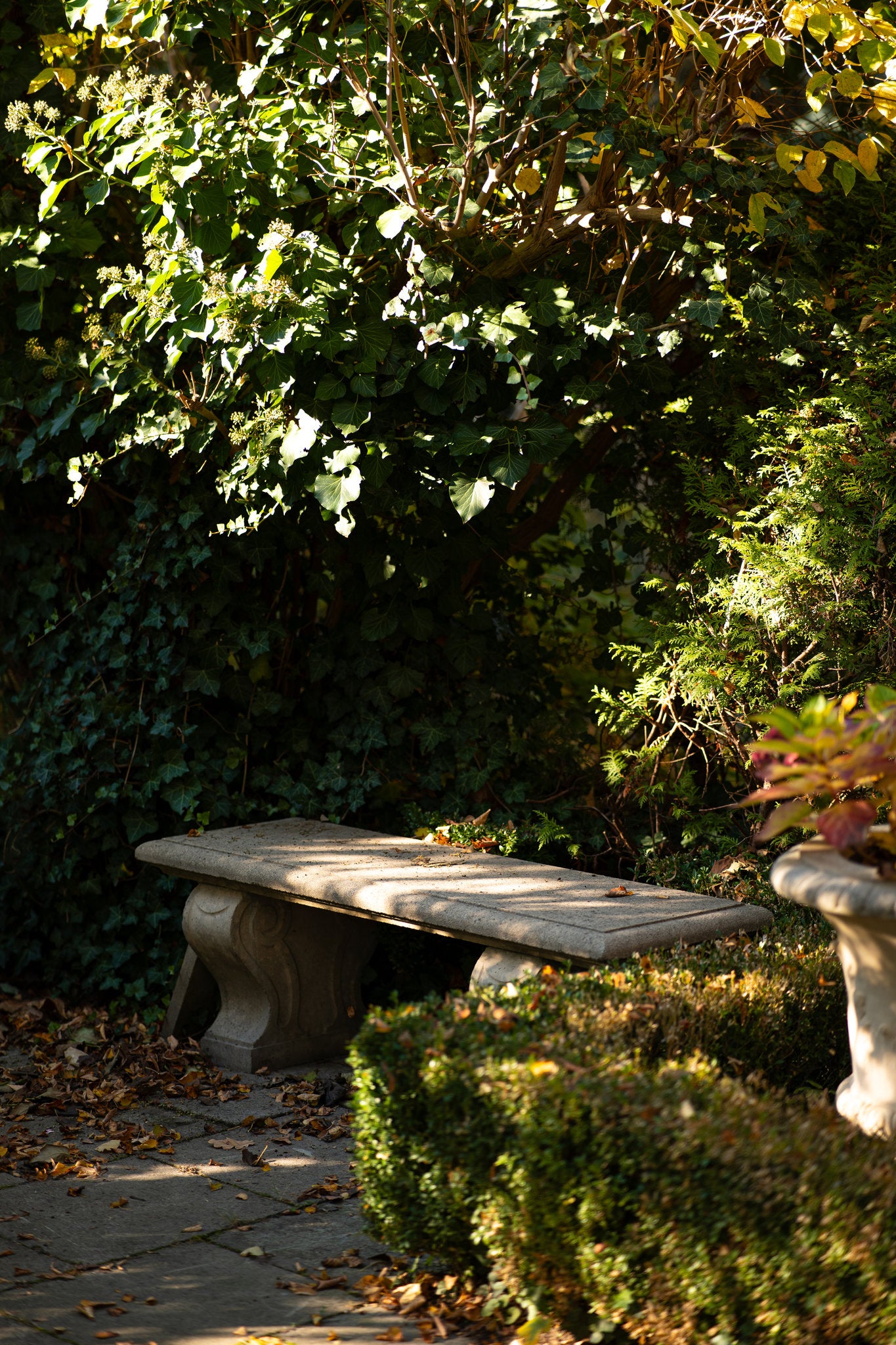 Wirydarzowy Bench