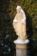 Mary - the Immaculate Mother of God