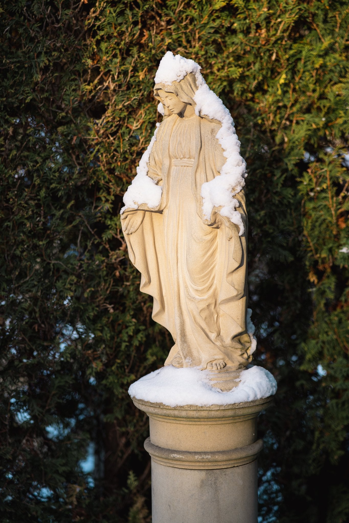 Mary - the Immaculate Mother of God