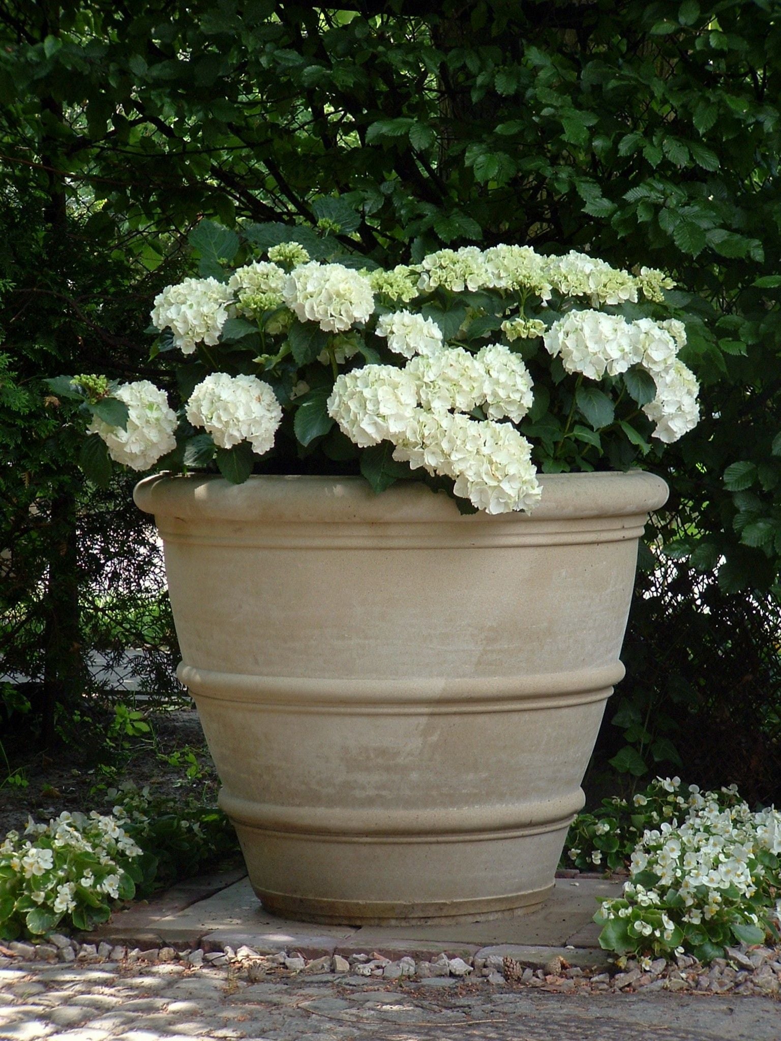 Meridiana planter