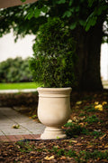 Amphora Olympia