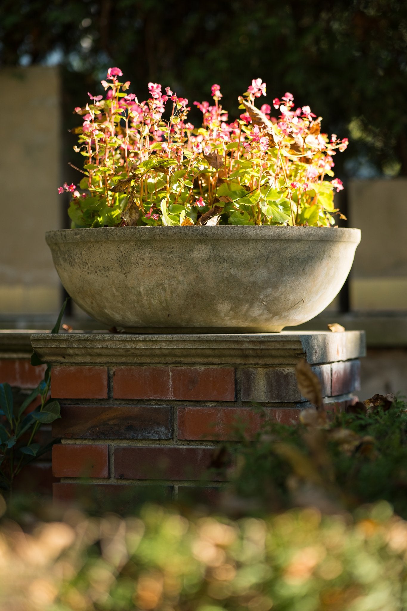 Planta Flower Bowl