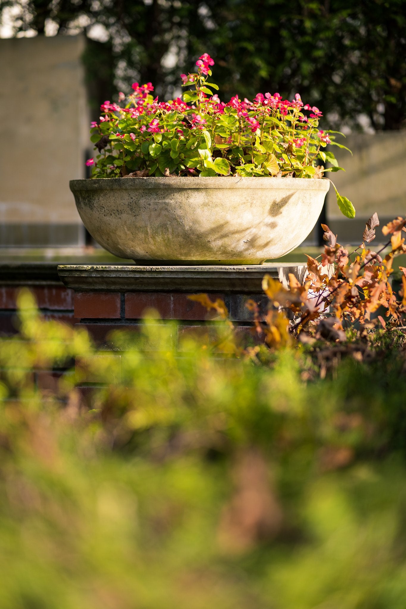 Planta Flower Bowl - Chronos